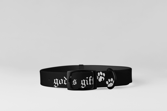 "God's Gift" Dog Collar